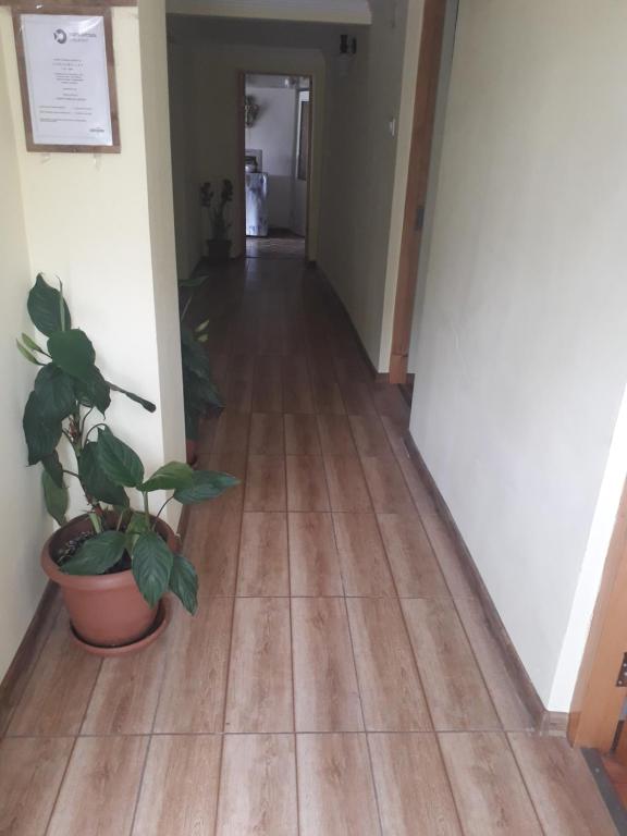 Nunu's Guesthouse room 3